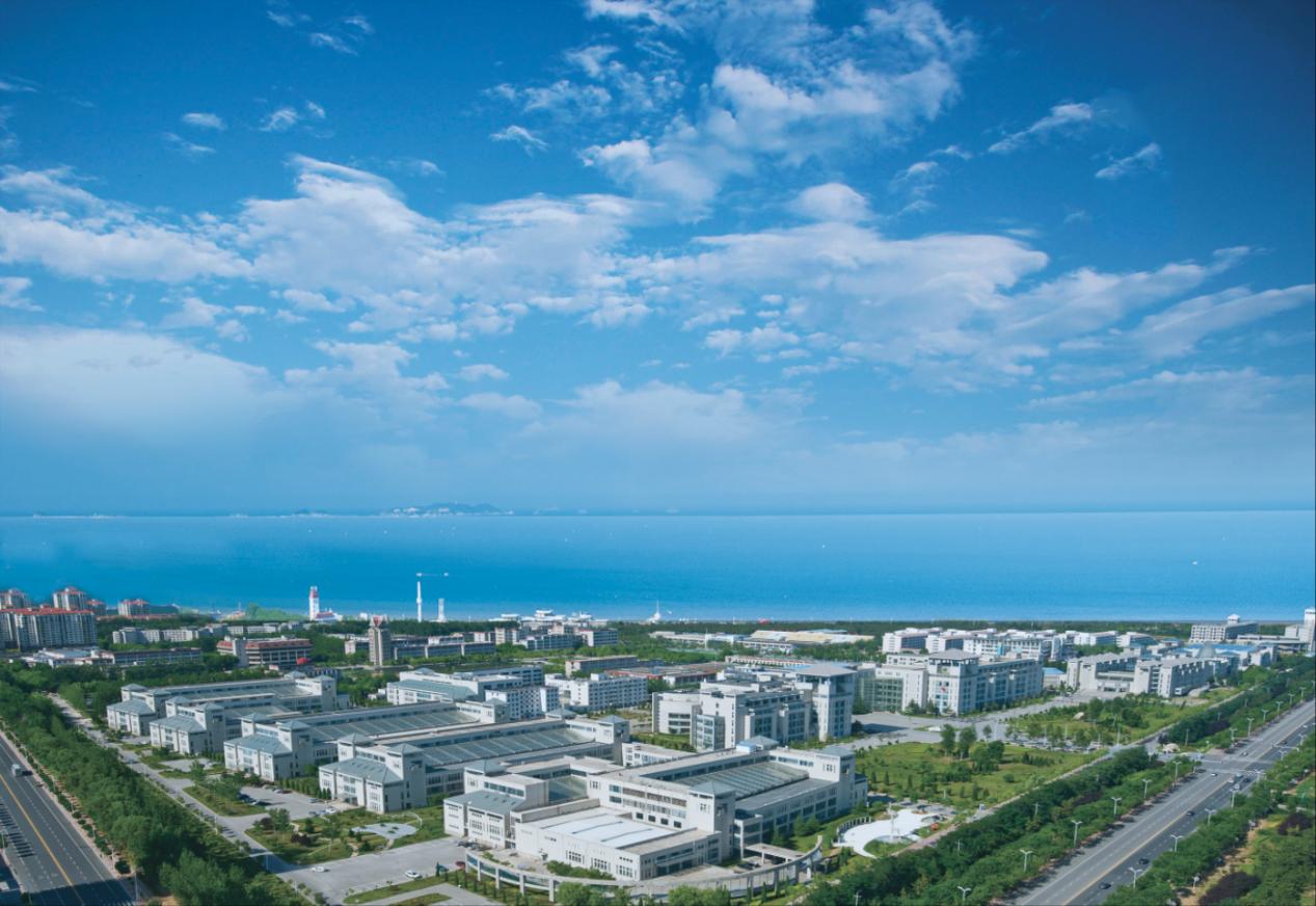 我向海而生 你为梦而来